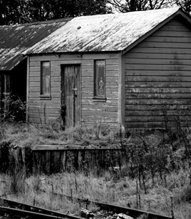 gulch shack